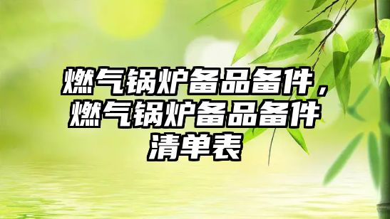 燃?xì)忮仩t備品備件，燃?xì)忮仩t備品備件清單表