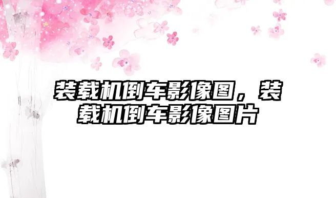 裝載機(jī)倒車影像圖，裝載機(jī)倒車影像圖片
