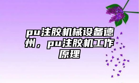 pu注膠機(jī)械設(shè)備德州，pu注膠機(jī)工作原理
