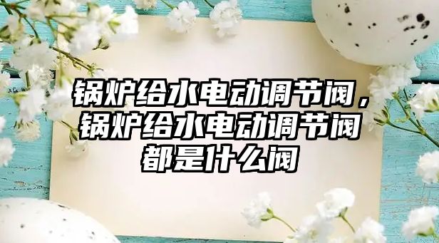 鍋爐給水電動調(diào)節(jié)閥，鍋爐給水電動調(diào)節(jié)閥都是什么閥