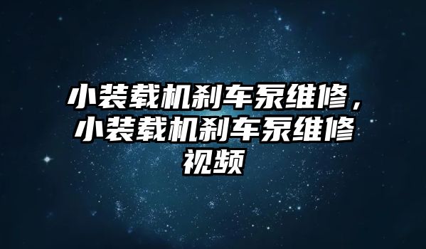 小裝載機(jī)剎車泵維修，小裝載機(jī)剎車泵維修視頻