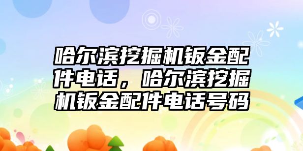 哈爾濱挖掘機(jī)鈑金配件電話，哈爾濱挖掘機(jī)鈑金配件電話號碼