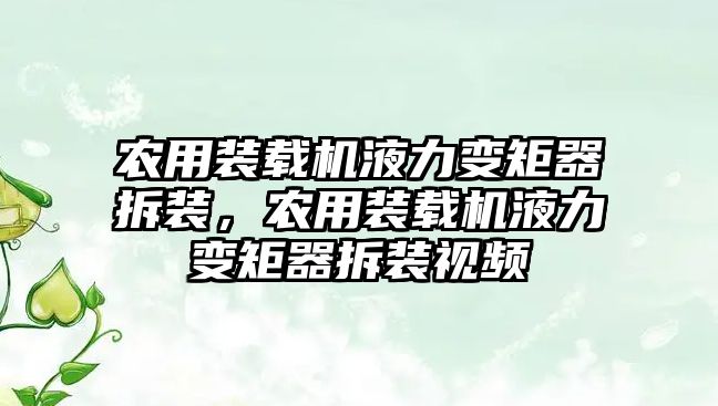 農(nóng)用裝載機(jī)液力變矩器拆裝，農(nóng)用裝載機(jī)液力變矩器拆裝視頻