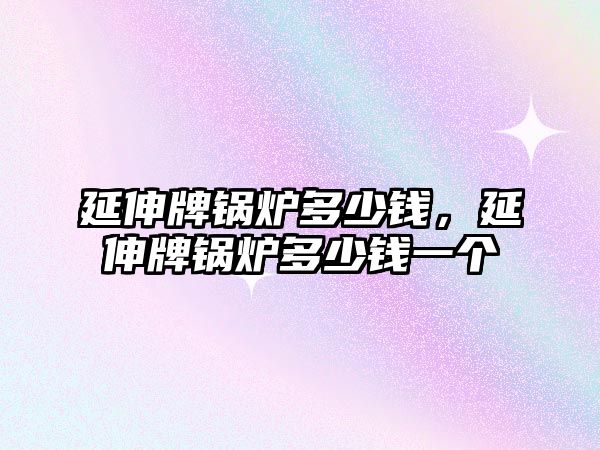 延伸牌鍋爐多少錢(qián)，延伸牌鍋爐多少錢(qián)一個(gè)
