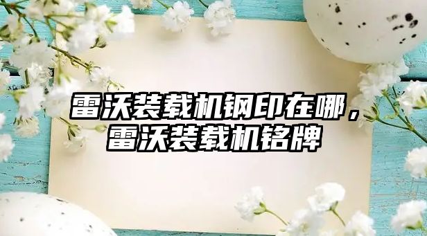 雷沃裝載機鋼印在哪，雷沃裝載機銘牌