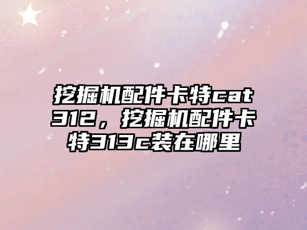 挖掘機配件卡特cat312，挖掘機配件卡特313c裝在哪里