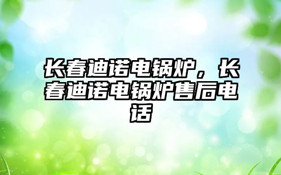 長春迪諾電鍋爐，長春迪諾電鍋爐售后電話