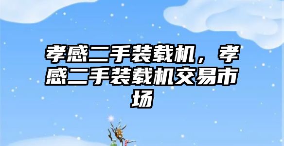 孝感二手裝載機(jī)，孝感二手裝載機(jī)交易市場(chǎng)
