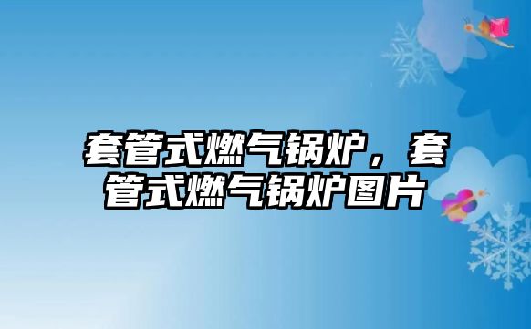 套管式燃氣鍋爐，套管式燃氣鍋爐圖片