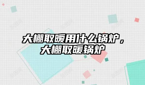 大棚取曖用什么鍋爐，大棚取暖鍋爐