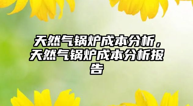 天然氣鍋爐成本分析，天然氣鍋爐成本分析報(bào)告