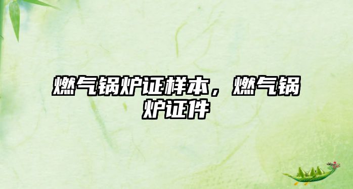 燃?xì)忮仩t證樣本，燃?xì)忮仩t證件