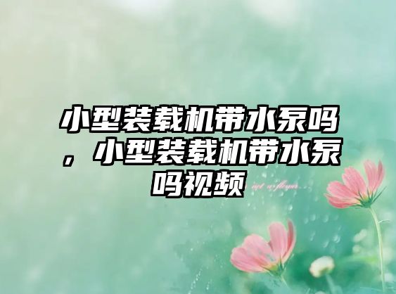小型裝載機(jī)帶水泵嗎，小型裝載機(jī)帶水泵嗎視頻