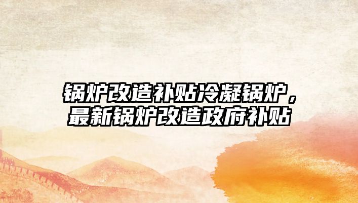 鍋爐改造補貼冷凝鍋爐，最新鍋爐改造政府補貼