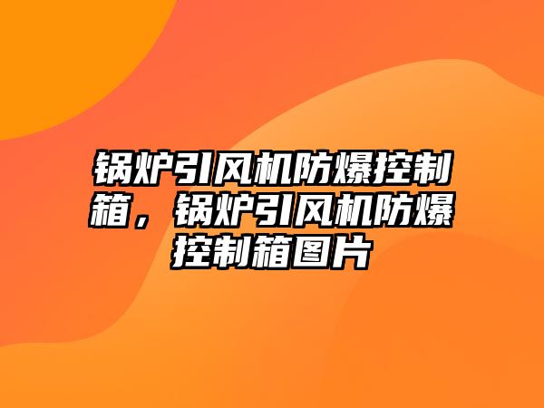 鍋爐引風(fēng)機(jī)防爆控制箱，鍋爐引風(fēng)機(jī)防爆控制箱圖片