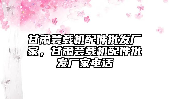 甘肅裝載機配件批發(fā)廠家，甘肅裝載機配件批發(fā)廠家電話