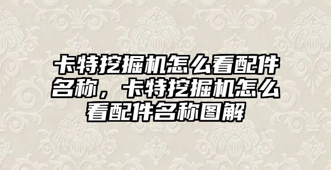 卡特挖掘機(jī)怎么看配件名稱，卡特挖掘機(jī)怎么看配件名稱圖解