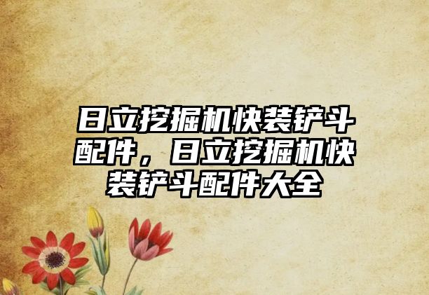 日立挖掘機快裝鏟斗配件，日立挖掘機快裝鏟斗配件大全