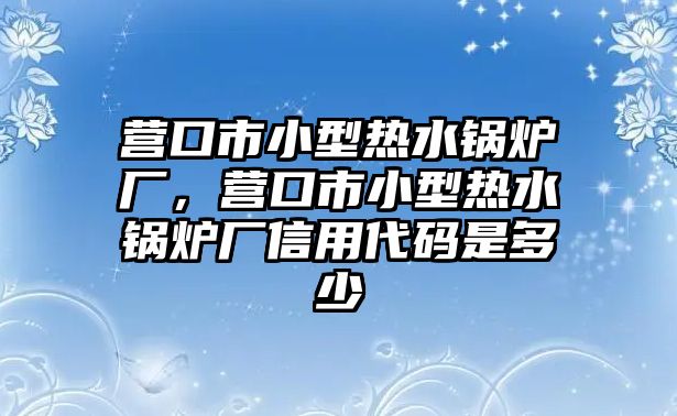 營(yíng)口市小型熱水鍋爐廠，營(yíng)口市小型熱水鍋爐廠信用代碼是多少