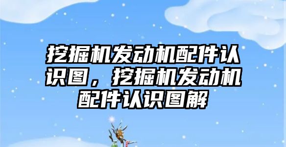 挖掘機發(fā)動機配件認(rèn)識圖，挖掘機發(fā)動機配件認(rèn)識圖解