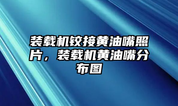 裝載機鉸接黃油嘴照片，裝載機黃油嘴分布圖