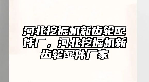 河北挖掘機新齒輪配件廠，河北挖掘機新齒輪配件廠家