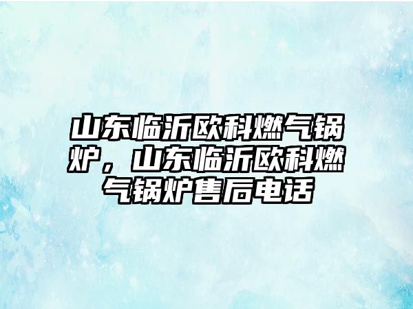 山東臨沂歐科燃氣鍋爐，山東臨沂歐科燃氣鍋爐售后電話