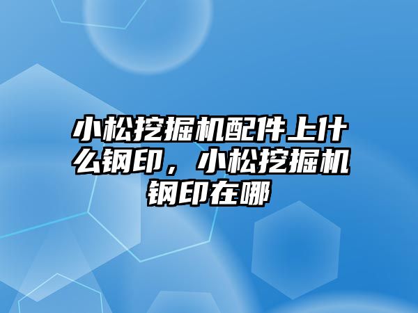 小松挖掘機配件上什么鋼印，小松挖掘機鋼印在哪
