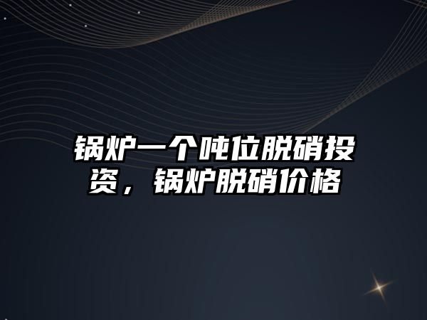 鍋爐一個噸位脫硝投資，鍋爐脫硝價格