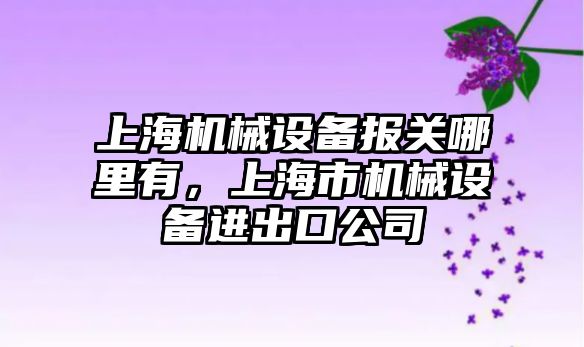 上海機(jī)械設(shè)備報(bào)關(guān)哪里有，上海市機(jī)械設(shè)備進(jìn)出口公司