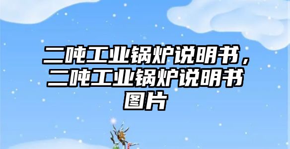 二噸工業(yè)鍋爐說明書，二噸工業(yè)鍋爐說明書圖片