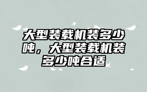大型裝載機(jī)裝多少噸，大型裝載機(jī)裝多少噸合適