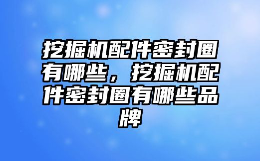 挖掘機配件密封圈有哪些，挖掘機配件密封圈有哪些品牌