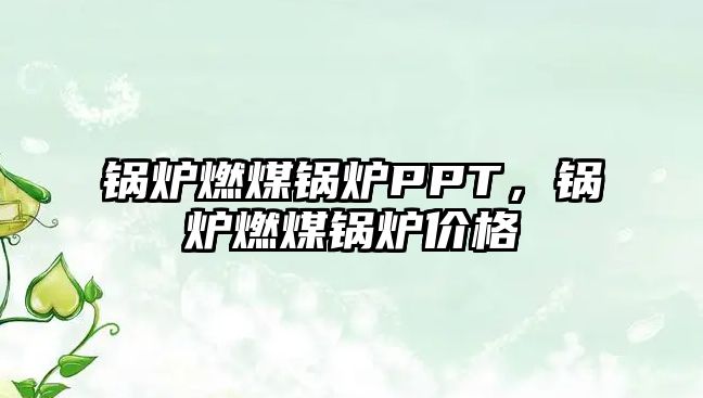鍋爐燃煤鍋爐PPT，鍋爐燃煤鍋爐價格