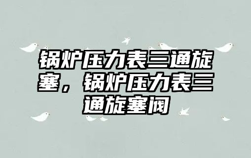 鍋爐壓力表三通旋塞，鍋爐壓力表三通旋塞閥