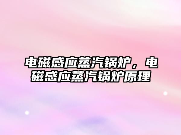 電磁感應(yīng)蒸汽鍋爐，電磁感應(yīng)蒸汽鍋爐原理