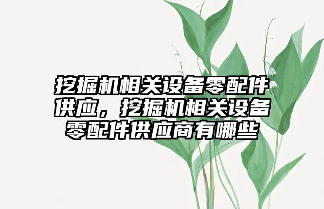 挖掘機(jī)相關(guān)設(shè)備零配件供應(yīng)，挖掘機(jī)相關(guān)設(shè)備零配件供應(yīng)商有哪些