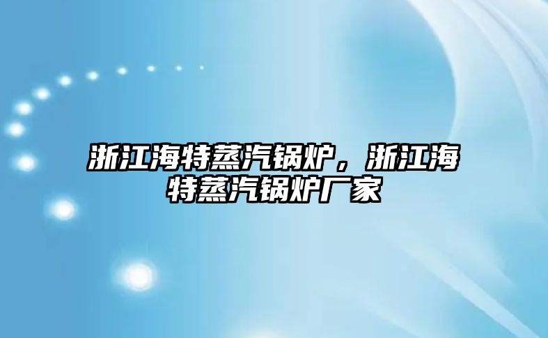 浙江海特蒸汽鍋爐，浙江海特蒸汽鍋爐廠家