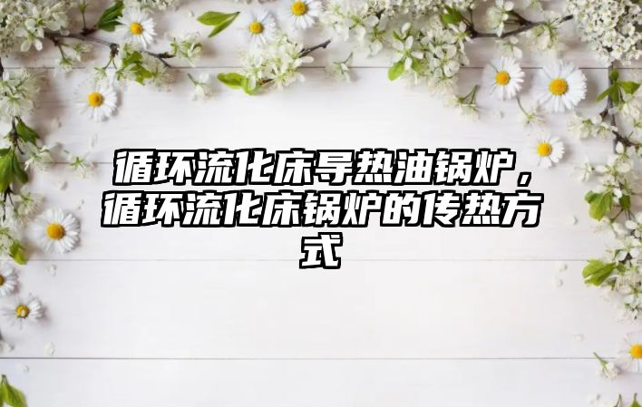 循環(huán)流化床導(dǎo)熱油鍋爐，循環(huán)流化床鍋爐的傳熱方式