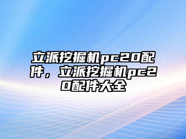 立派挖掘機pc20配件，立派挖掘機pc20配件大全