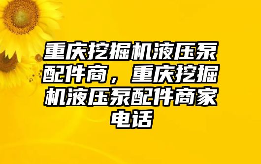 重慶挖掘機液壓泵配件商，重慶挖掘機液壓泵配件商家電話