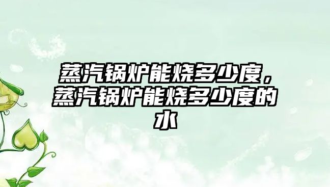 蒸汽鍋爐能燒多少度，蒸汽鍋爐能燒多少度的水