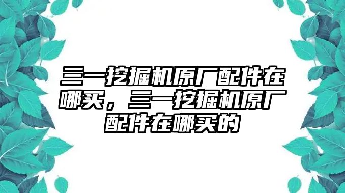 三一挖掘機(jī)原廠配件在哪買，三一挖掘機(jī)原廠配件在哪買的