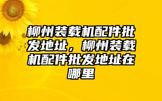 柳州裝載機(jī)配件批發(fā)地址，柳州裝載機(jī)配件批發(fā)地址在哪里