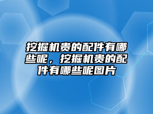 挖掘機貴的配件有哪些呢，挖掘機貴的配件有哪些呢圖片