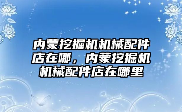內蒙挖掘機機械配件店在哪，內蒙挖掘機機械配件店在哪里