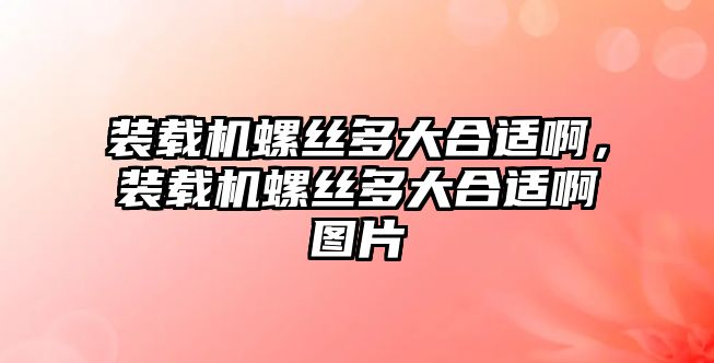 裝載機(jī)螺絲多大合適啊，裝載機(jī)螺絲多大合適啊圖片