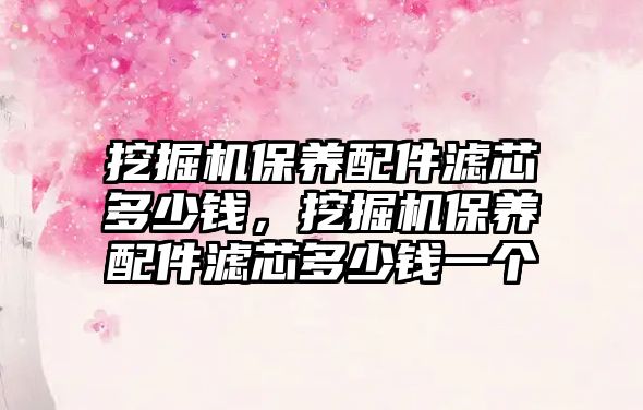 挖掘機(jī)保養(yǎng)配件濾芯多少錢，挖掘機(jī)保養(yǎng)配件濾芯多少錢一個(gè)