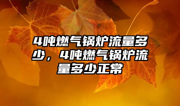 4噸燃?xì)忮仩t流量多少，4噸燃?xì)忮仩t流量多少正常