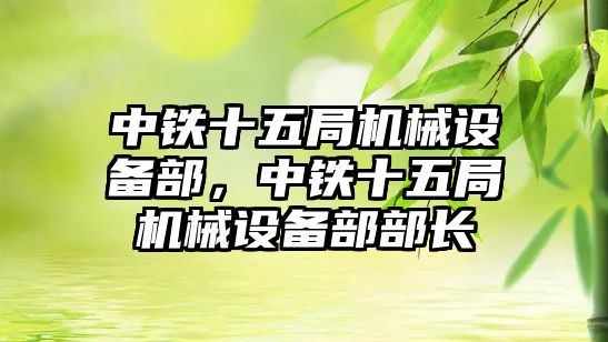 中鐵十五局機械設備部，中鐵十五局機械設備部部長